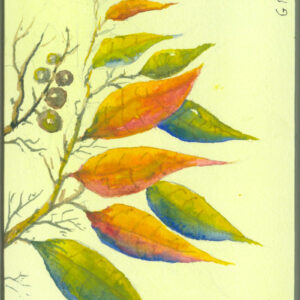 eucalyptus-leaves-and-gummuts-painting