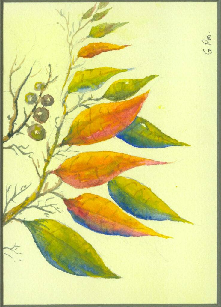 eucalyptus-leaves-and-gummuts-painting